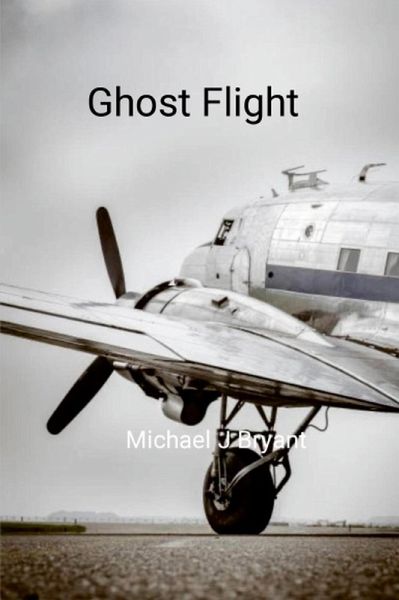 Ghost Flight (eBook, ePUB)
