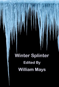 Cover Winter Splinter (eBook, ePUB)