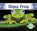 Glass Frog Glass Frog