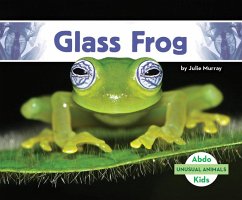 Glass Frog - Murray, Julie