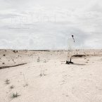 The Blind (eBook, PDF)