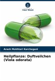 Heilpflanze: Duftveilchen (Viola odorata)