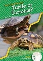 Turtle or Tortoise? - Murray, Julie