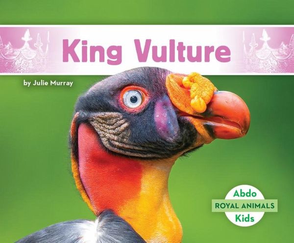 King Vulture King Vulture