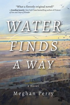 Cover Water Finds a Way a Novel
