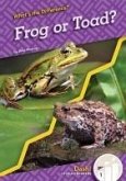 Frog or Toad? Frog or Toad?