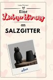 Eine Liebeserklärung an Salzgitter Eine Liebeserklärung an Salzgitter