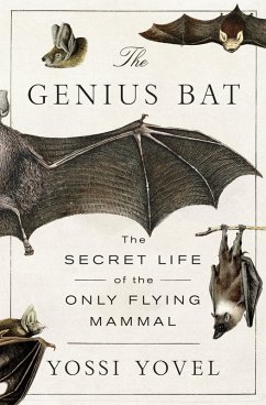 The Genius Bat - Yovel, Yossi