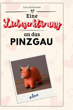 Cover Eine Liebeserklärung an das Pinzgau