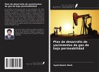 Plan de desarrollo de yacimientos de gas de baja permeabilidad Plan de desarrollo de yacimientos de gas de baja permeabilidad