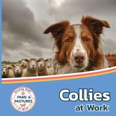 Collies at Work Collies at Work