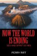 Now the World is Ending - Bild 1