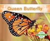 Queen Butterfly Queen Butterfly