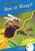 Bee or Wasp? Bee or Wasp?