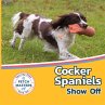 Cocker Spaniels Show Off - Bild 1