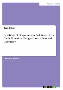 Iterations of Diagrammatic Solutions of the Cable Equation Using Arbitrary Dendritic Geometry