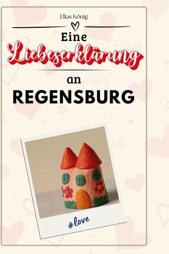 Cover Eine Liebeserklärung an Regensburg