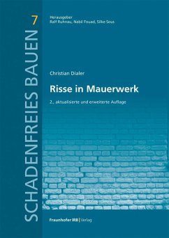 Cover Risse in Mauerwerk (eBook, PDF)