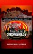 Pulling Down Satanic Strongholds... - Bild 1