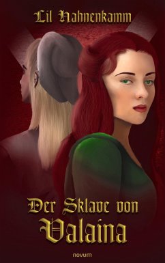 Der Sklave von Valaina (eBook, ePUB)