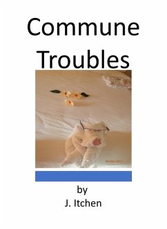 Cover Commune Troubles (eBook, ePUB)