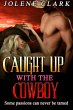 Caught Up With The Cowboy (eBook, ePUB) - Bild 1