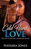 Cold Hard Love (eBook, ePUB)