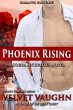 Phoenix Rising (COBRA Securities, #32)... - Bild 1
