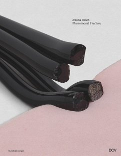 Antonia Hirsch - Phenomenal Fracture - Behm, Meike
