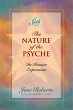 The Nature of the Psyche (eBook, ePUB) - Bild 1