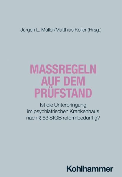 Maßregeln auf dem Prüfstand (eBook, ePUB)