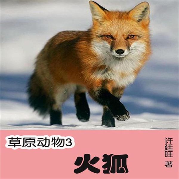 草原动物3：火狐 (MP3-Download)
