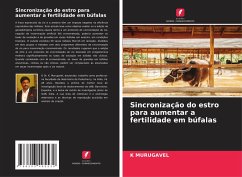 Sincronização do estro para aumentar a fertilidade em búfalas Cover Sincronização do estro para aumentar a fertilidade em búfalas
