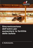 Sincronizzazione dell'estro per aumentare la fertilità delle bufale