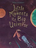 Little Moments in a Big Universe Little Moments in a Big Universe