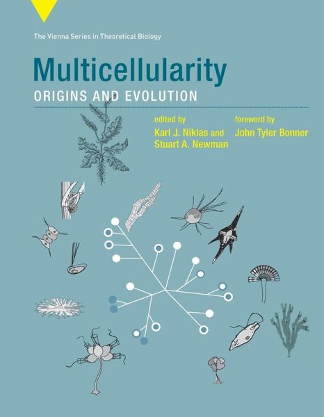 Multicellularity Multicellularity