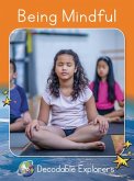 Being Mindful Being Mindful