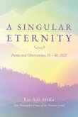 A Singular Eternity A Singular Eternity
