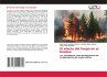El efecto del fuego en el bosque - Bild 1