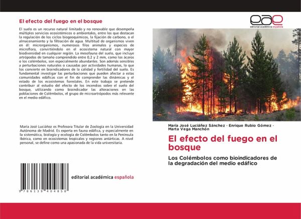 El efecto del fuego en el bosque