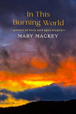 Cover In This Burning World