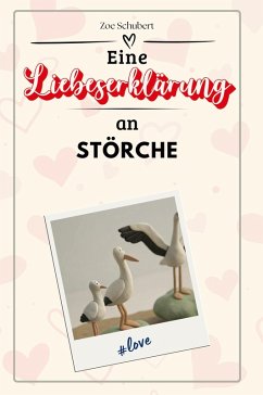 Cover Eine Liebeserklärung an Störche