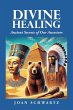 Divine Healing - Bild 1