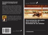 Sincronización del estro para aumentar la fertilidad de las búfalas