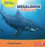 Megalodon Megalodon