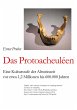 Das Protoacheuléen - Bild 1