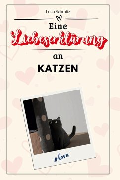 Eine Liebeserklärung an Katzen - Schmitz, Luca