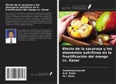 Efecto de la sacarosa y los elementos nutritivos en la fructificación del mango cv. Kesar Efecto de la sacarosa y los elementos nutritivos en la fructificación del mango cv. Kesar
