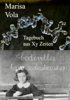 Tagebuch aus Xy Zeiten Tagebuch aus Xy Zeiten