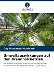 Umweltauswirkungen auf den Brennholzbetrieb Umweltauswirkungen auf den Brennholzbetrieb